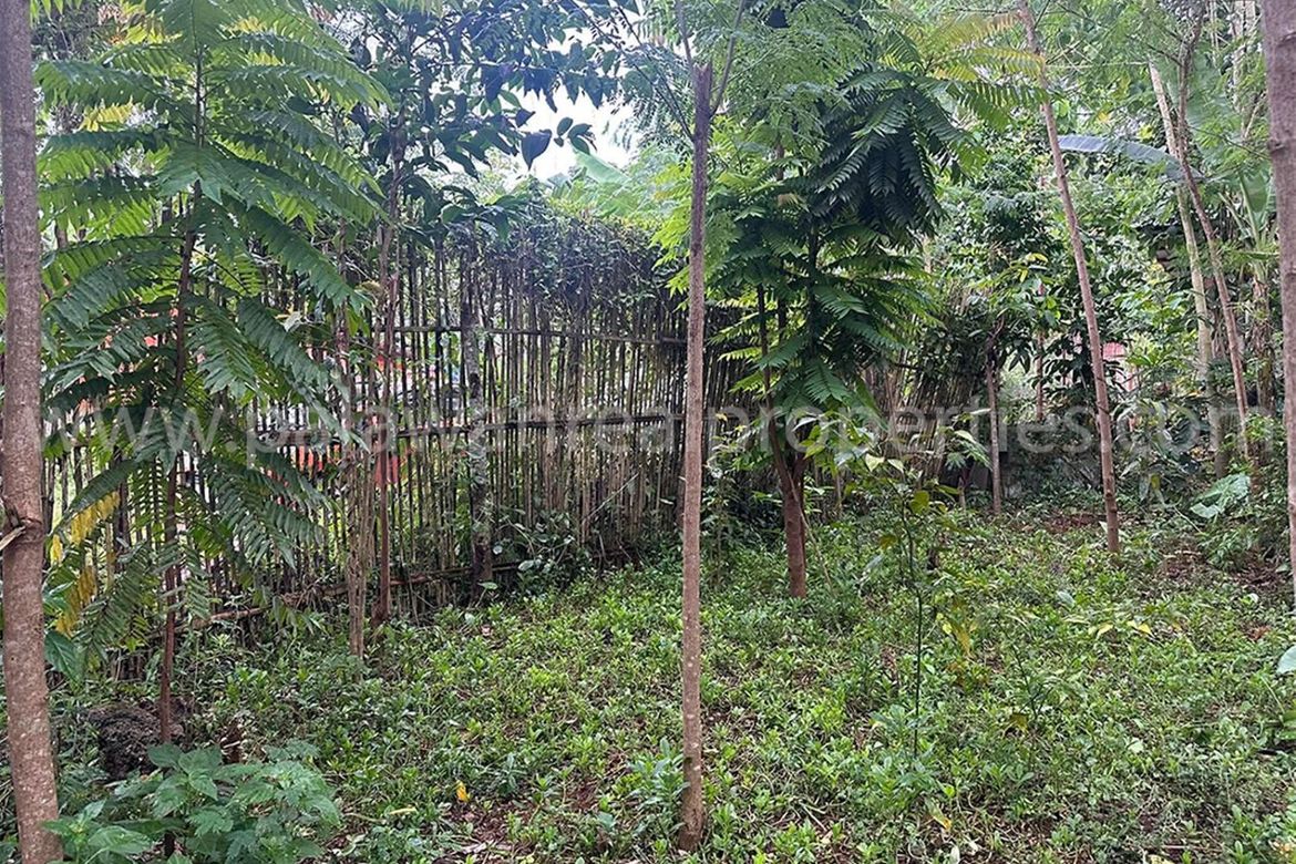 Land for Sale in San Jose, Puerto Princesa, Palawan – photo 5