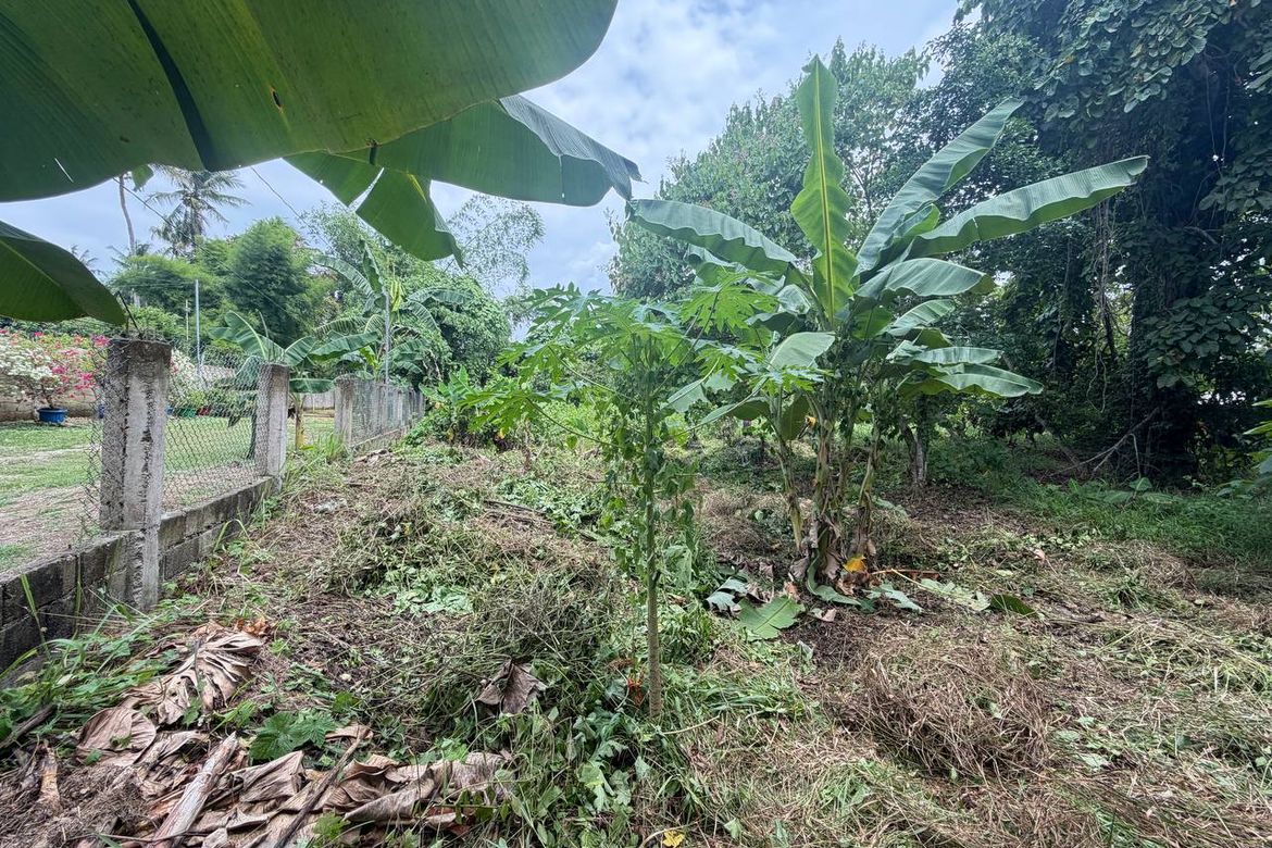 Land for Sale in San Jose, Puerto Princesa, Palawan