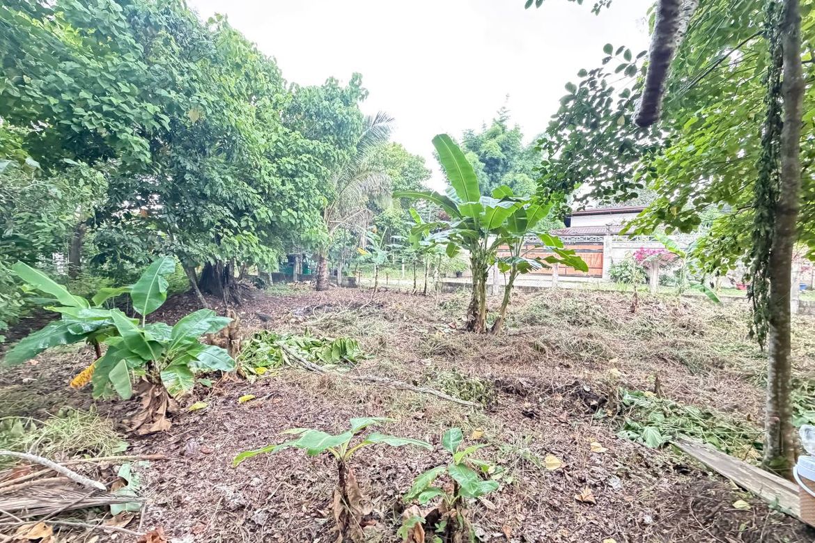 Land for Sale in San Jose, Puerto Princesa, Palawan – photo 5