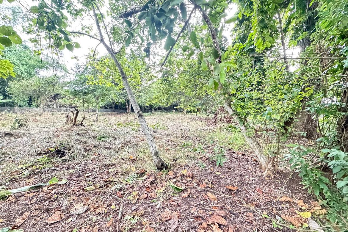 Land for Sale in San Jose, Puerto Princesa, Palawan – photo 8
