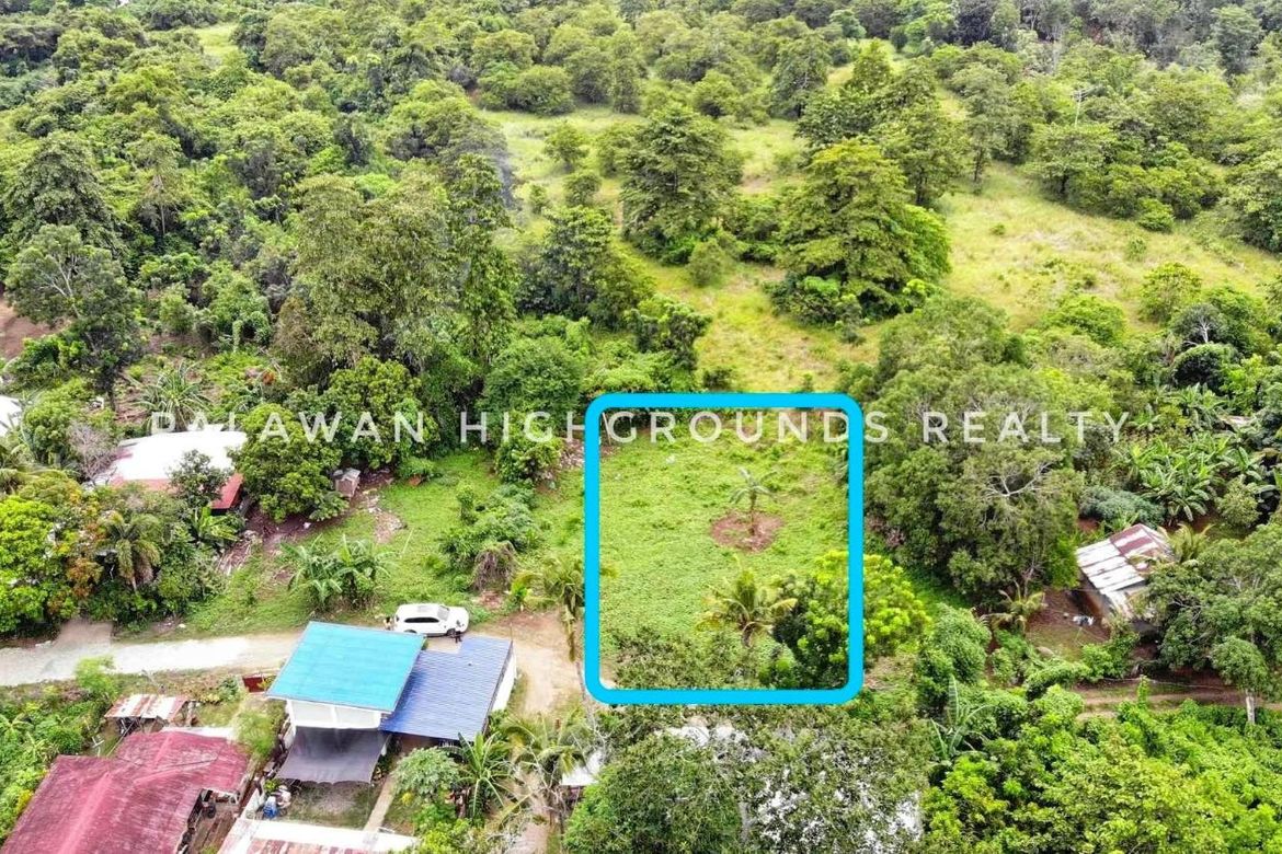 Land for Sale in San Jose, Puerto Princesa, Palawan – photo 2
