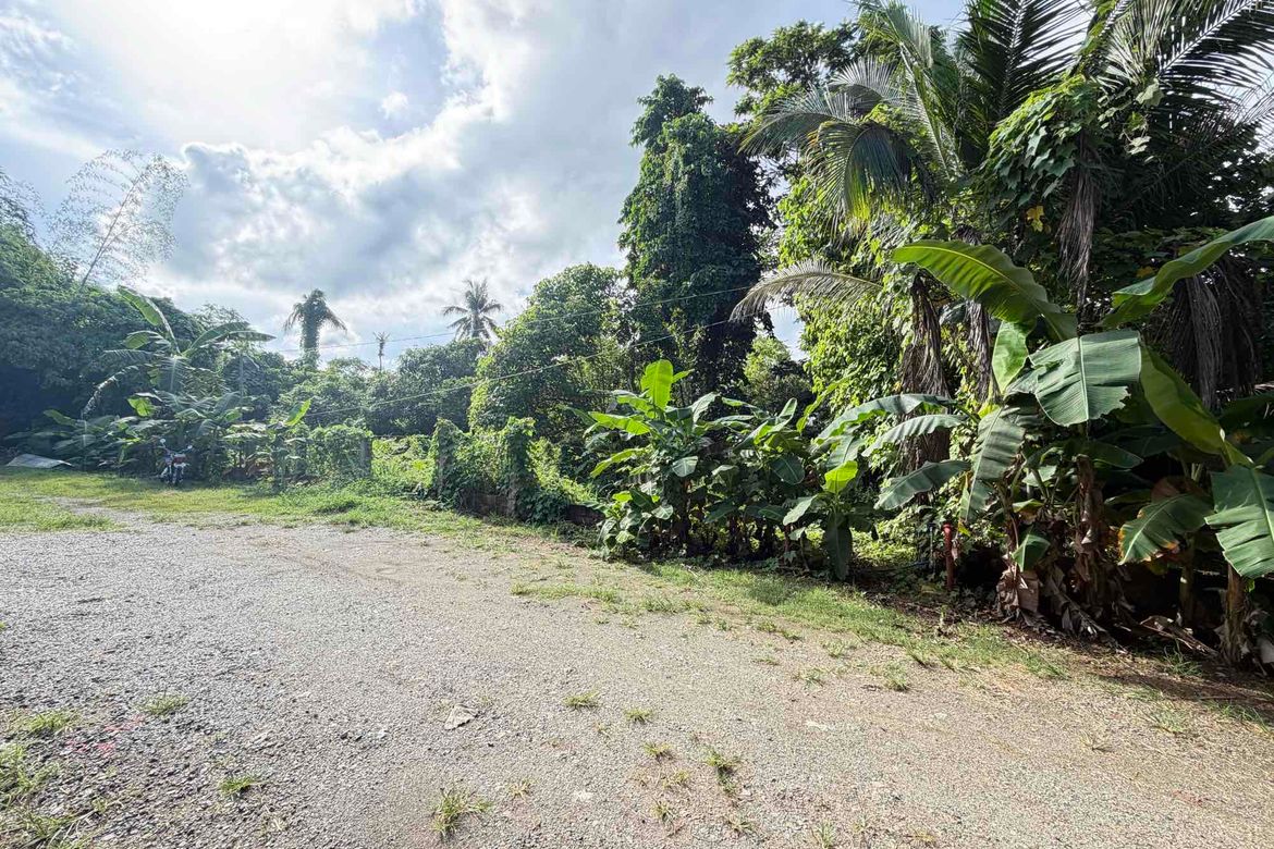 Land for Sale in San Jose, Puerto Princesa, Palawan – photo 2