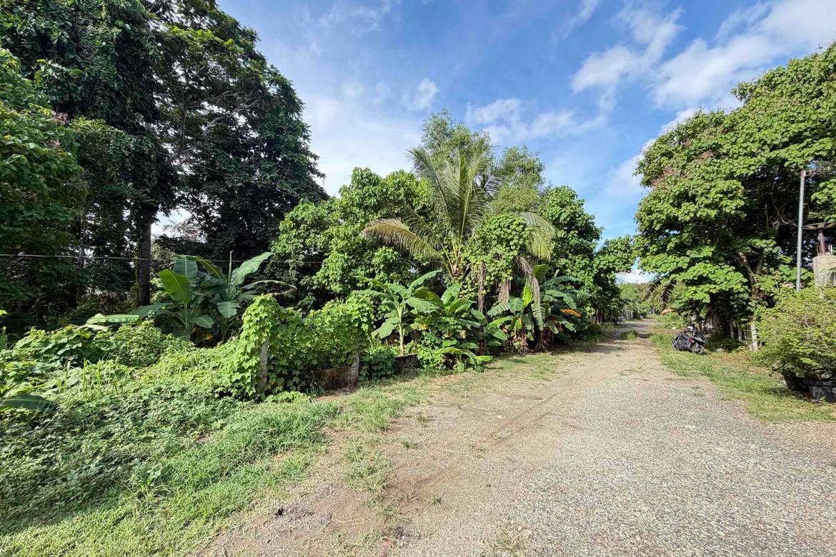 Land for Sale in San Jose, Puerto Princesa, Palawan – photo 3