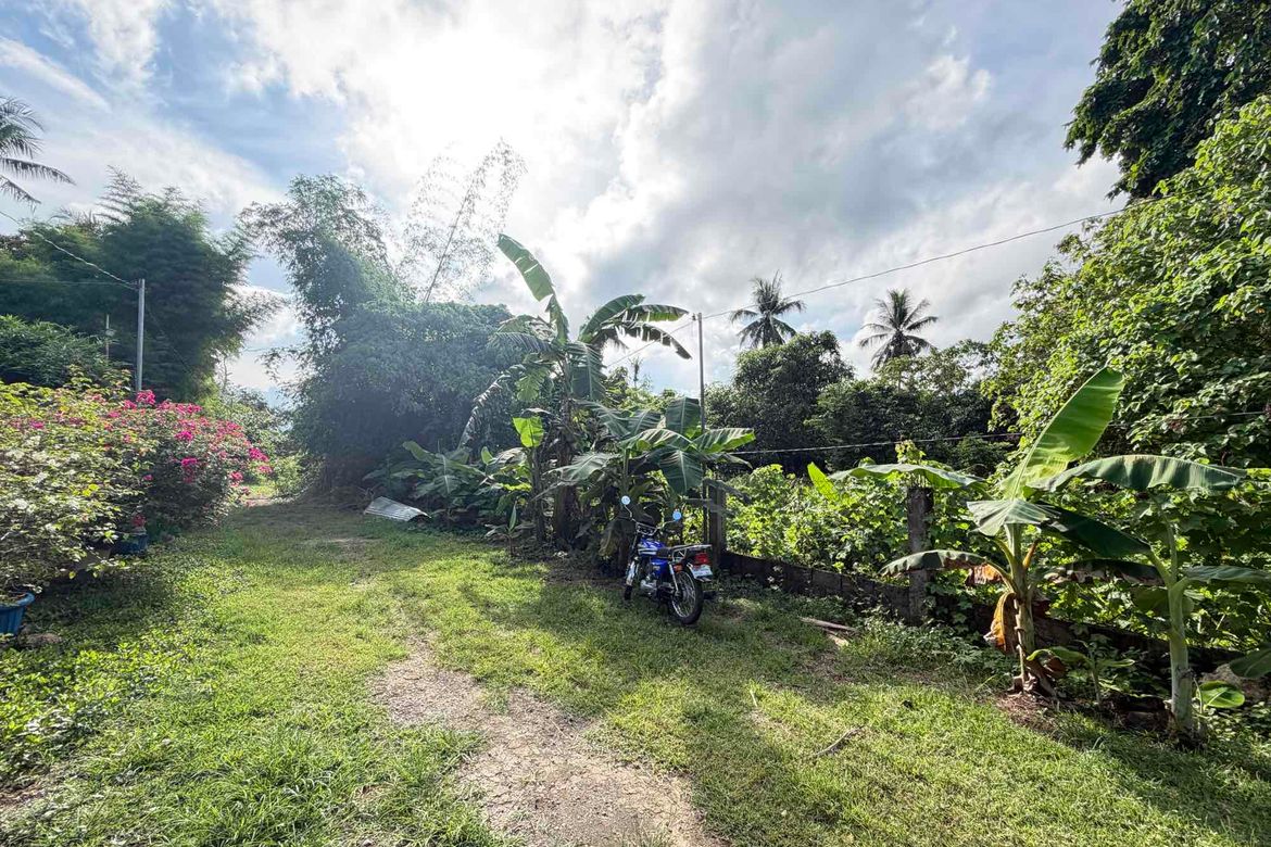 Land for Sale in San Jose, Puerto Princesa, Palawan – photo 4