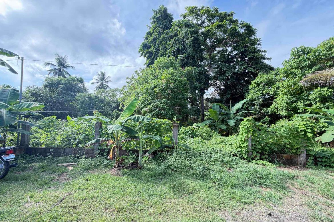 Land for Sale in San Jose, Puerto Princesa, Palawan – photo 5