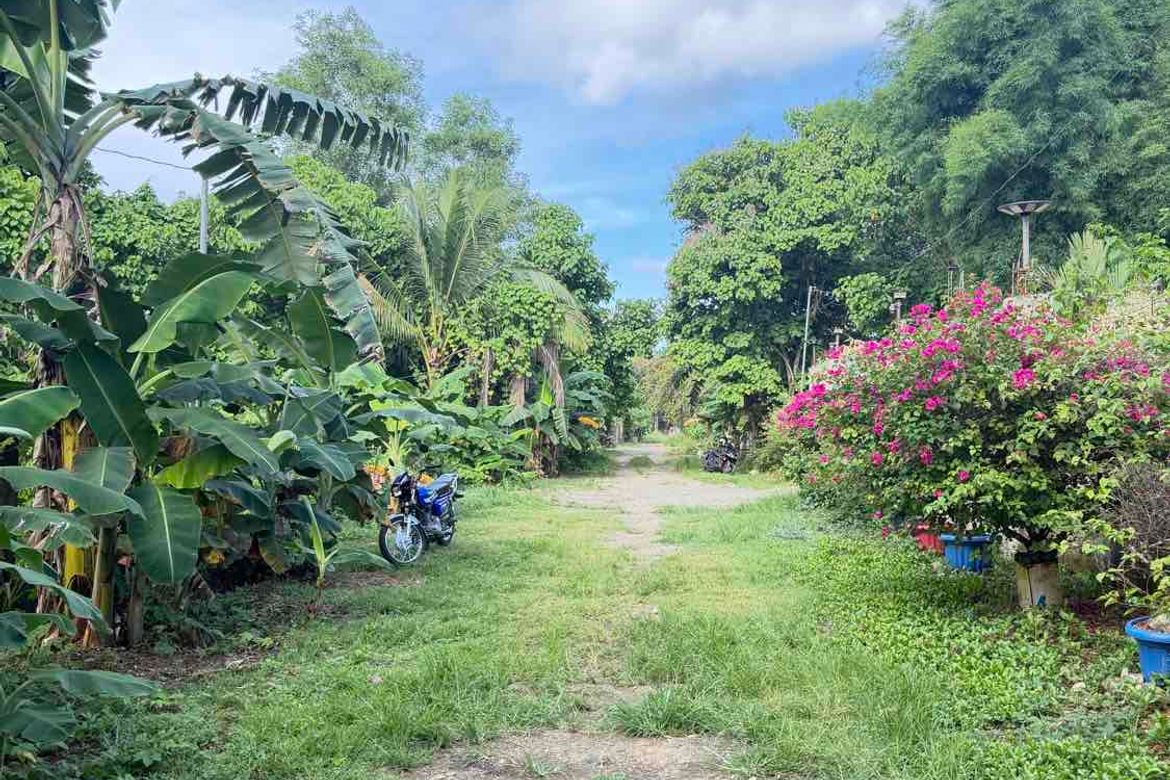 Land for Sale in San Jose, Puerto Princesa, Palawan – photo 7