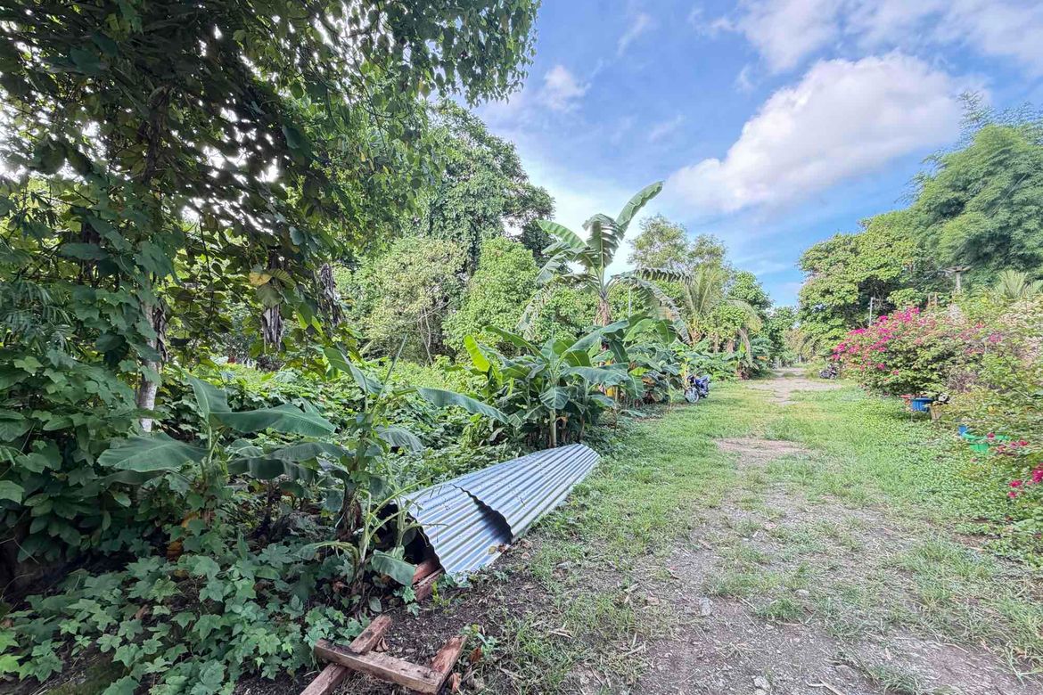 Land for Sale in San Jose, Puerto Princesa, Palawan – photo 8