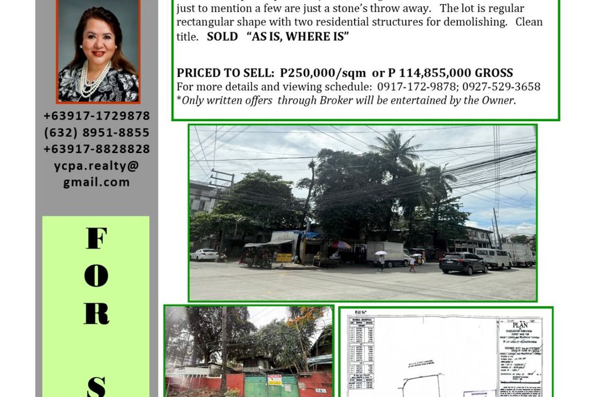 Land for Sale in San Jose, Quezon City, Metro Manila – photo 7