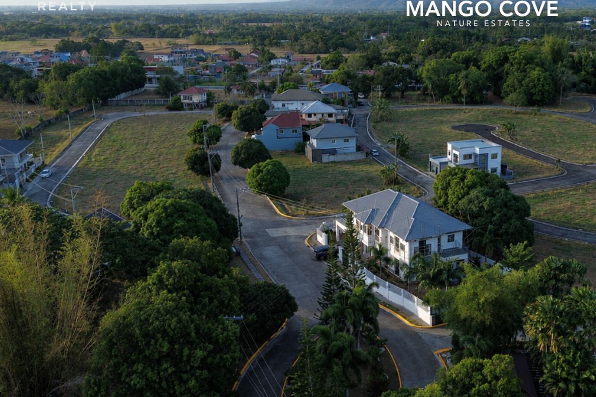 Land for Sale in San Jose, Rosario, Batangas – photo 2