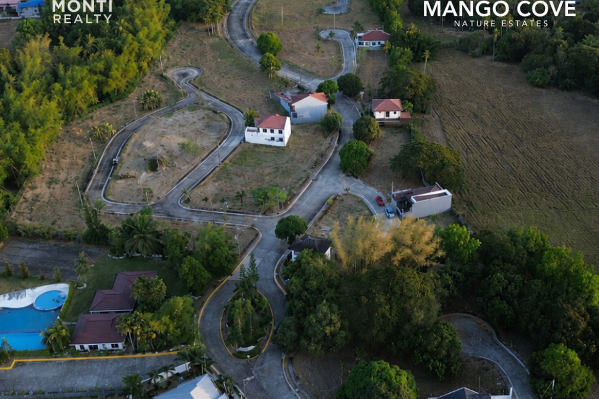 Land for Sale in San Jose, Rosario, Batangas – photo 3