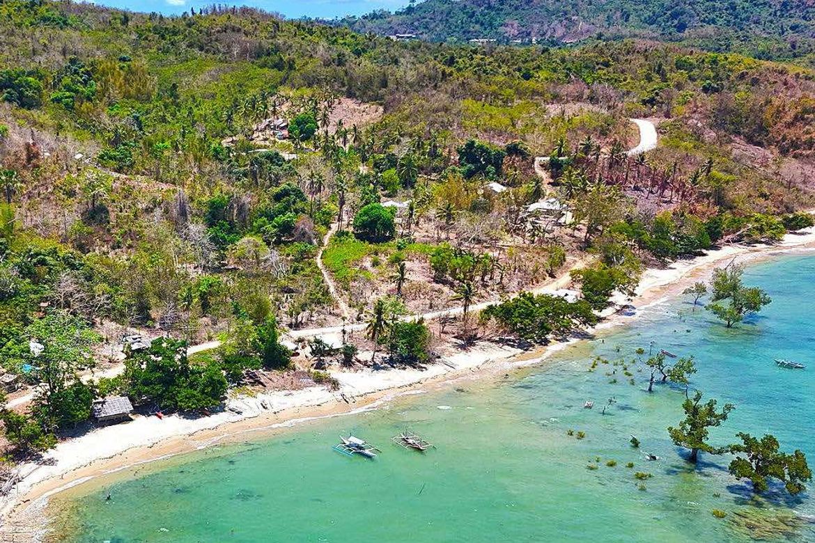 Land for Sale in San Jose, Roxas, Palawan