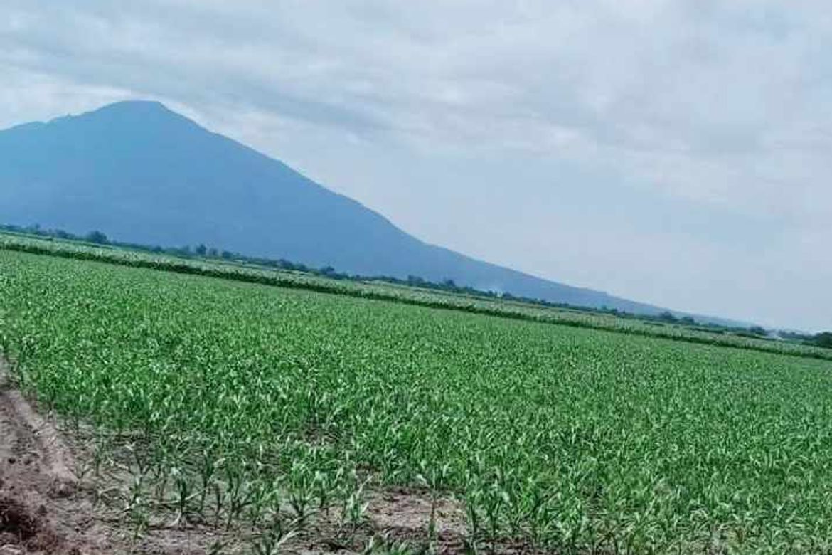 Land for Sale in San Jose, San Antonio, Nueva Ecija