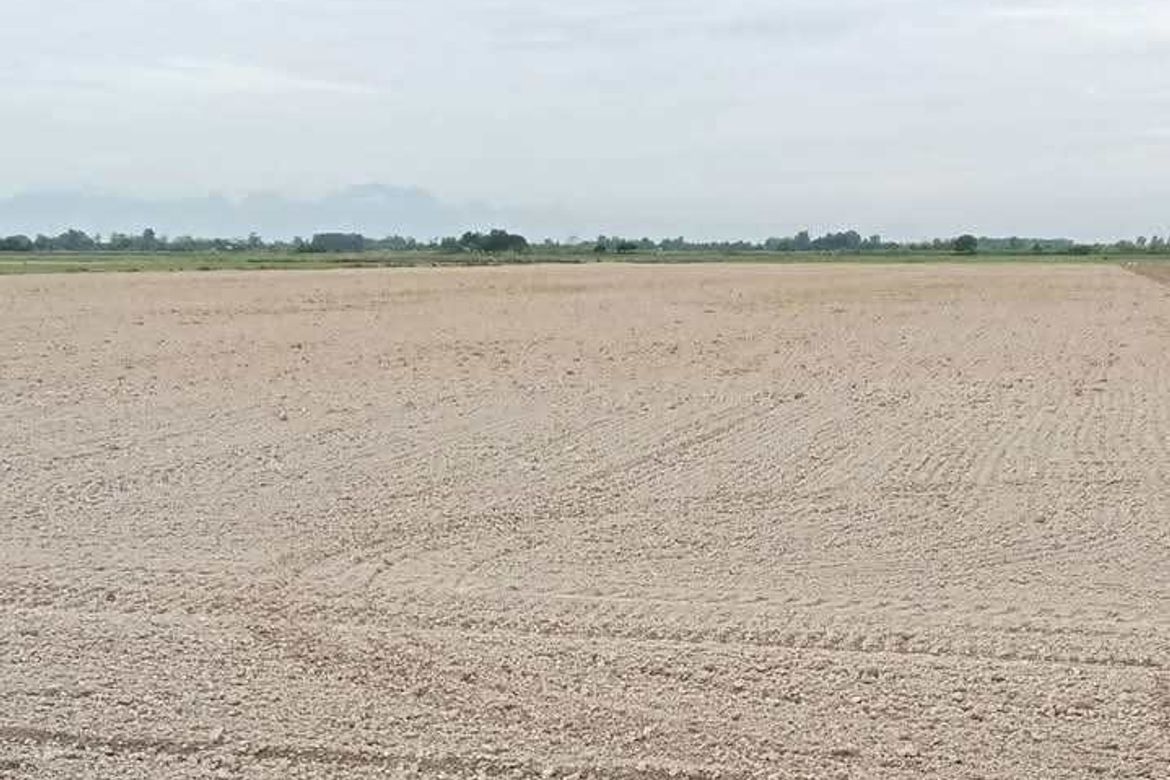 Land for Sale in San Jose, San Antonio, Nueva Ecija – photo 3