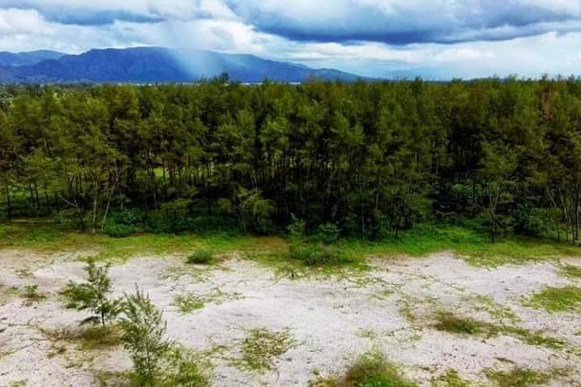 Land for Sale in San Jose, San Narciso, Zambales – photo 3