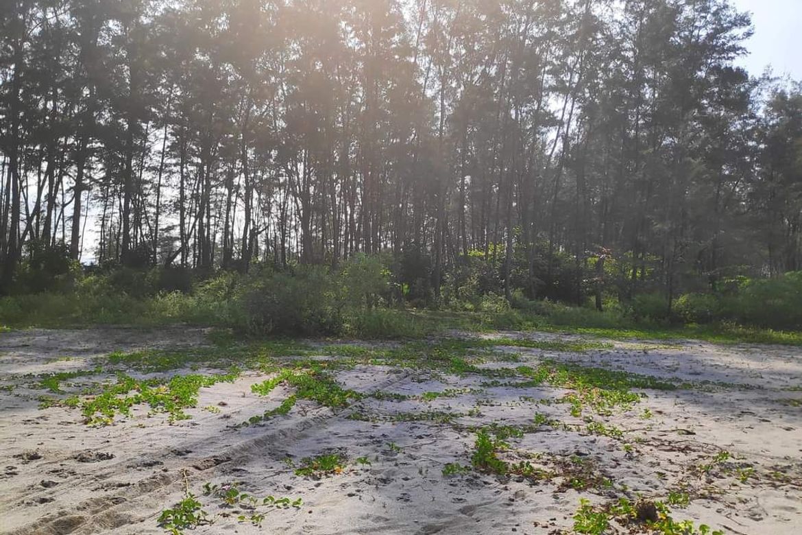 Land for Sale in San Jose, San Narciso, Zambales – photo 6