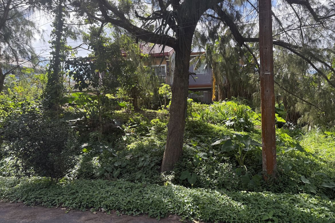 Land for Sale in San Jose, Tagaytay, Cavite – photo 2
