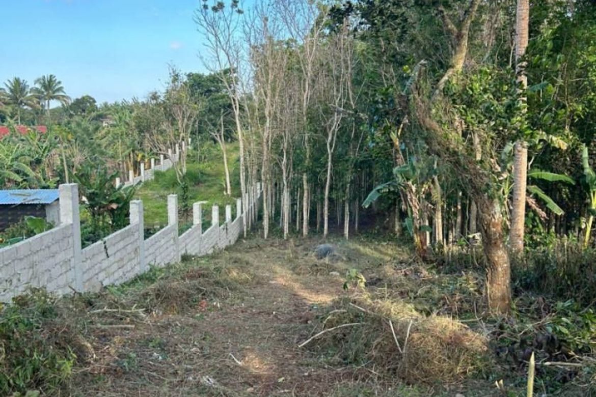 Land for Sale in San Jose, Tagaytay, Cavite