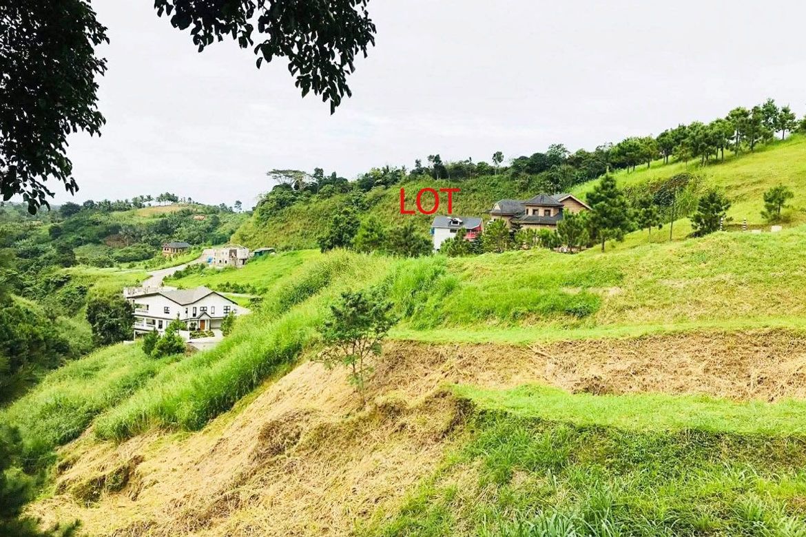 Land for Sale in San Jose, Tagaytay, Cavite – photo 4