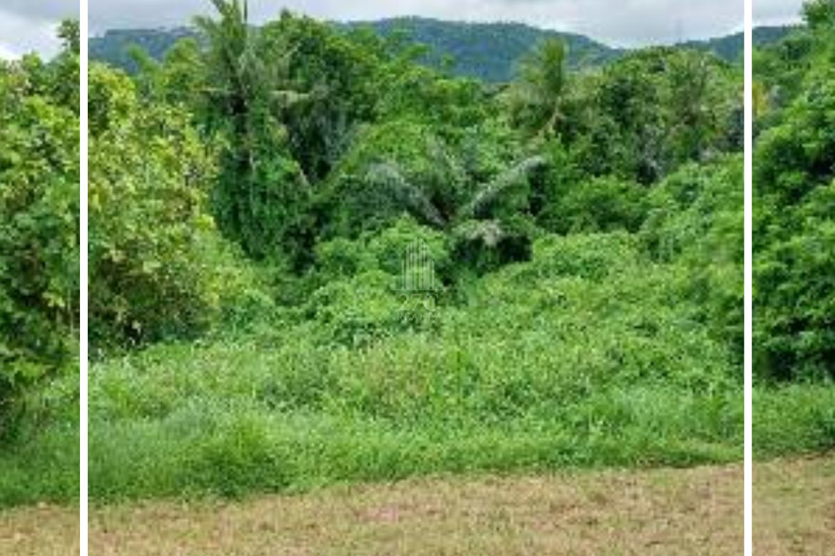 Land for Sale in San Jose, Tagaytay, Cavite – photo 2