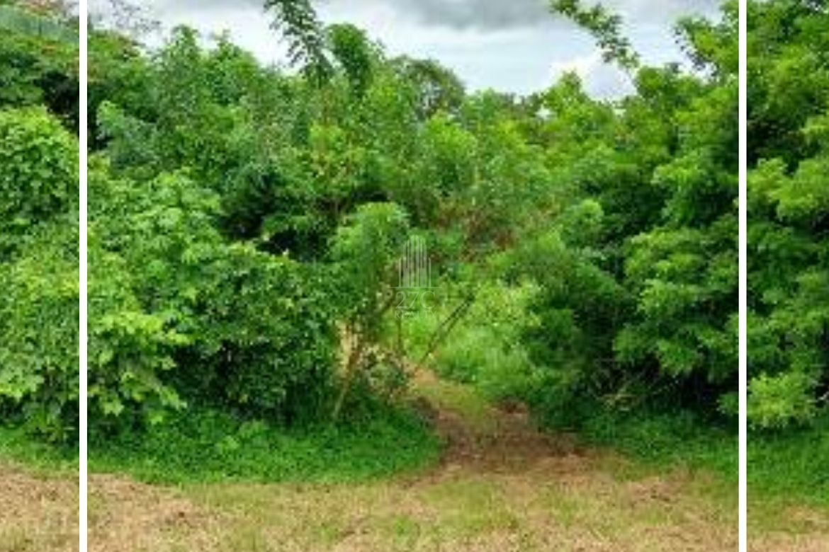 Land for Sale in San Jose, Tagaytay, Cavite – photo 4