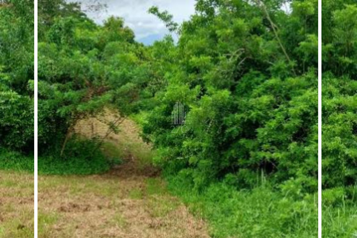 Land for Sale in San Jose, Tagaytay, Cavite – photo 6