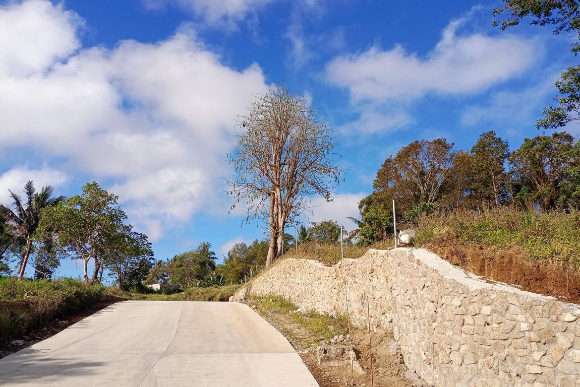 Land for Sale in San Jose, Tagaytay, Cavite – photo 6
