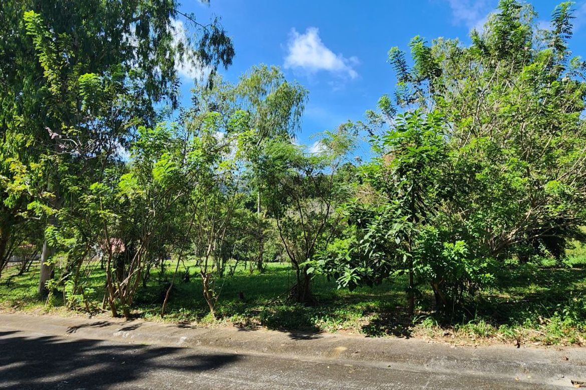 Land for Sale in San Jose, Tagaytay, Cavite – photo 6
