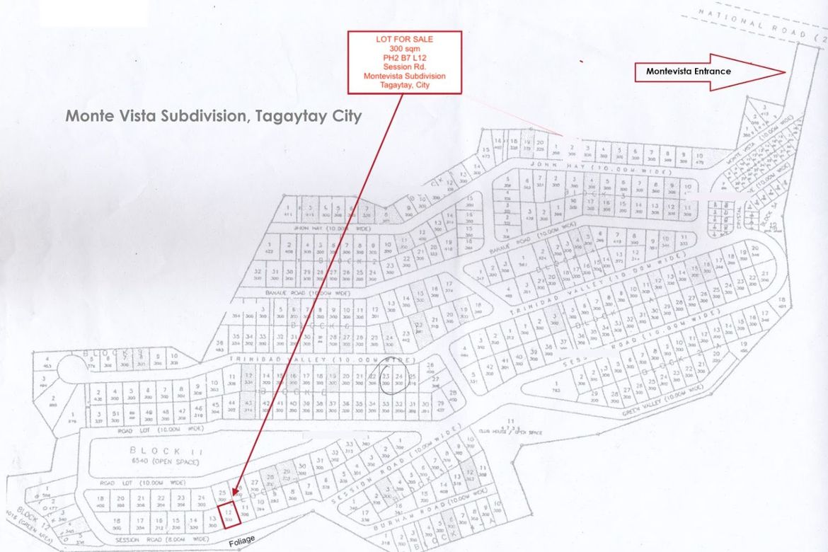 Land for Sale in San Jose, Tagaytay, Cavite – photo 8