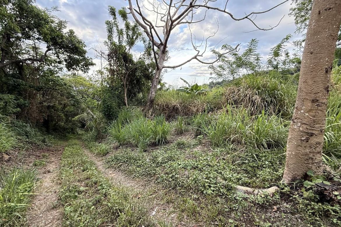 Land for Sale in San Jose, Tagaytay, Cavite – photo 4