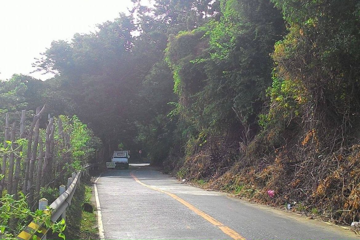 Land for Sale in San Jose, Tagaytay, Cavite – photo 4