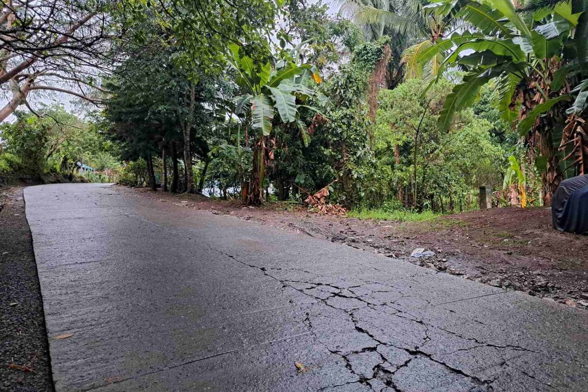 Land for Sale in San Jose, Tagaytay, Cavite – photo 2