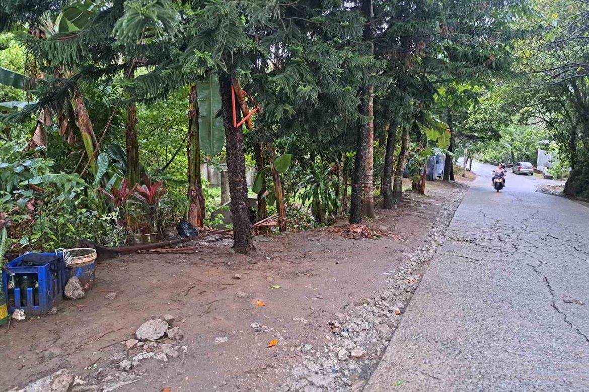 Land for Sale in San Jose, Tagaytay, Cavite – photo 5
