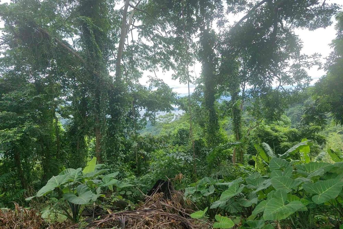 Land for Sale in San Jose, Tagaytay, Cavite