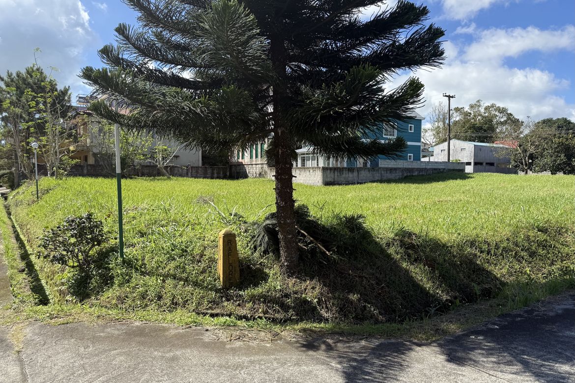 Land for Sale in San Jose, Tagaytay, Cavite – photo 2