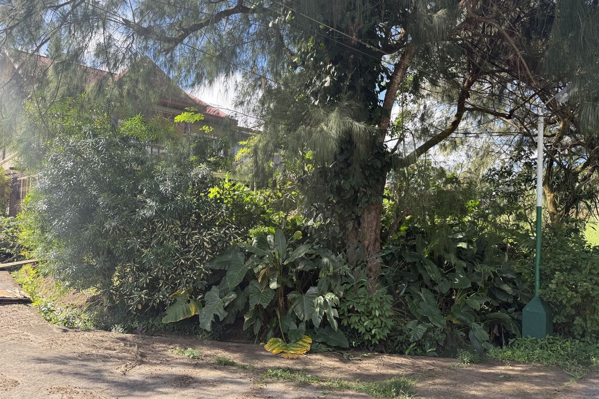 Land for Sale in San Jose, Tagaytay, Cavite