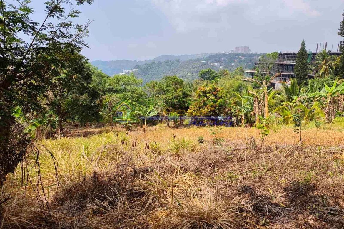 Land for Sale in San Jose, Tagaytay, Cavite