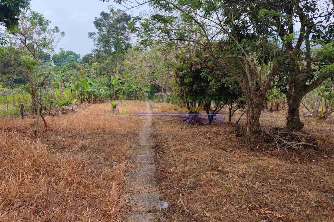 Land for Sale in San Jose, Tagaytay, Cavite – photo 2