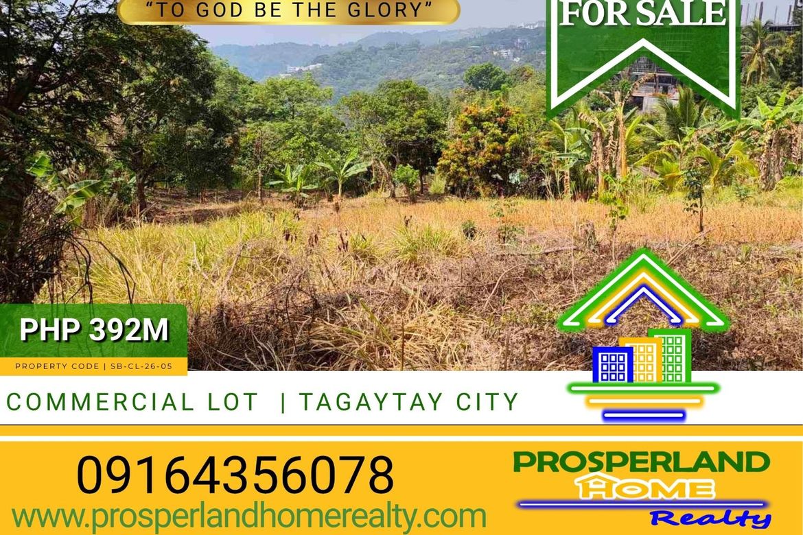 Land for Sale in San Jose, Tagaytay, Cavite – photo 7