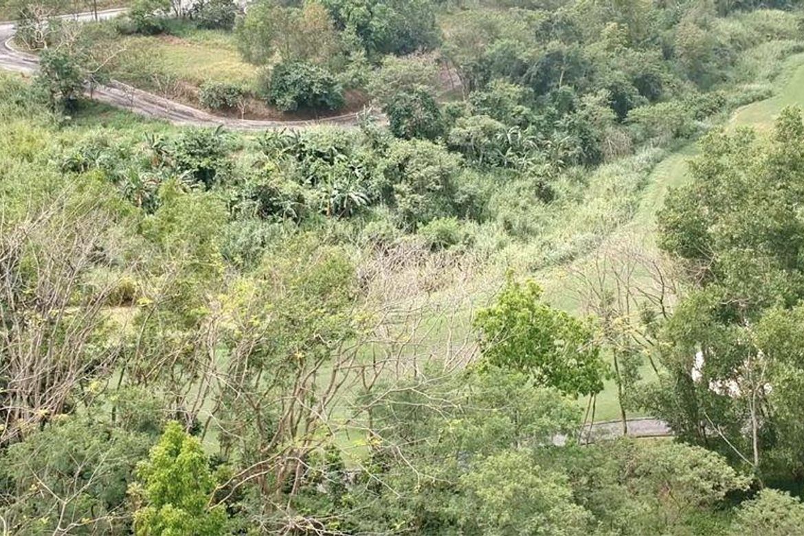 Land for Sale in San Juan, Antipolo, Rizal – photo 2