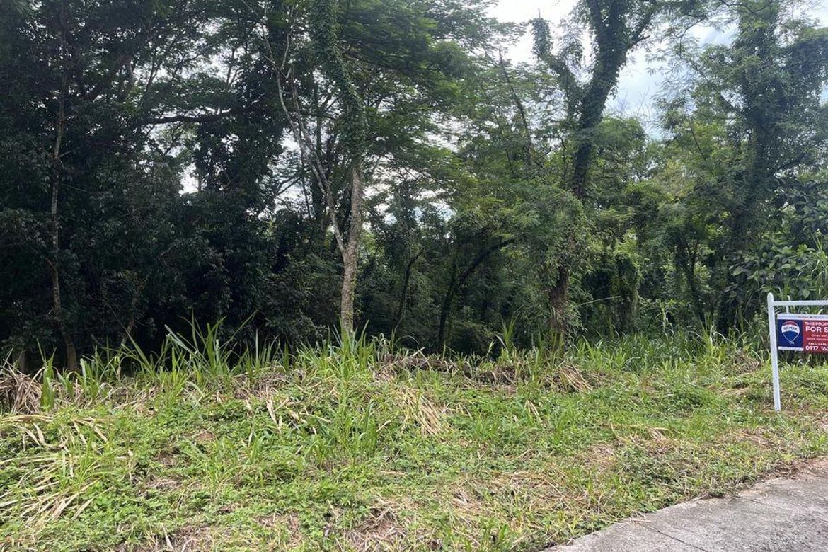Land for Sale in San Juan, Antipolo, Rizal – photo 4