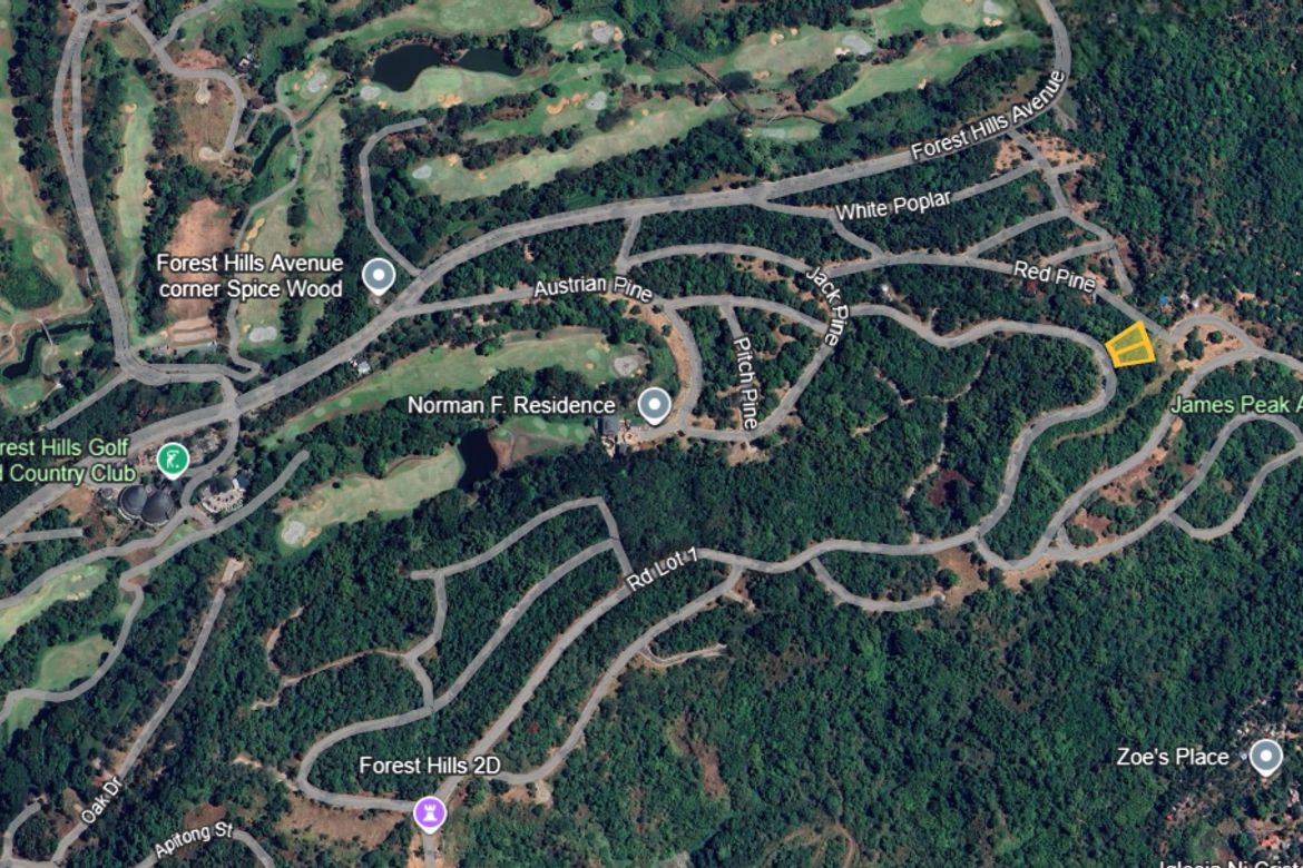 Land for Sale in San Juan, Antipolo, Rizal – photo 2