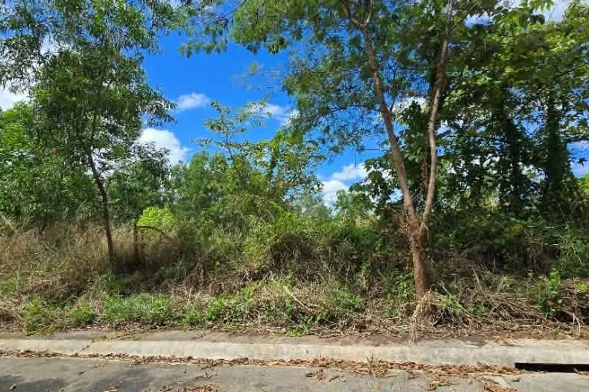 Land for Sale in San Juan, Antipolo, Rizal – photo 2