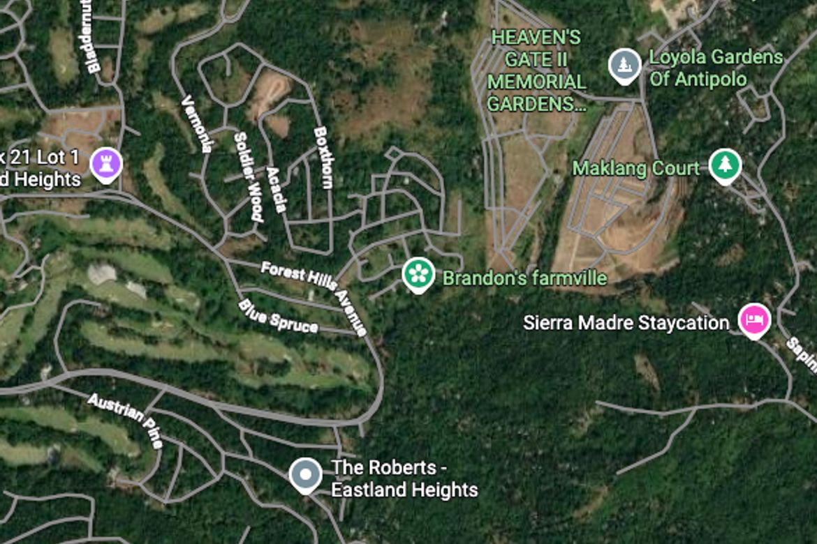 Land for Sale in San Juan, Antipolo, Rizal – photo 3