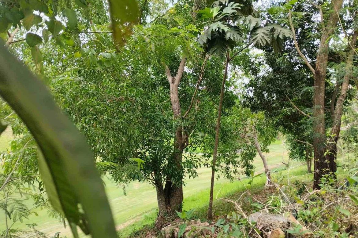 Land for Sale in San Juan, Antipolo, Rizal – photo 4