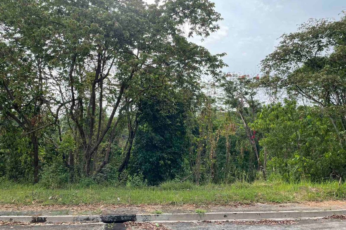 Land for Sale in San Juan, Antipolo, Rizal – photo 5