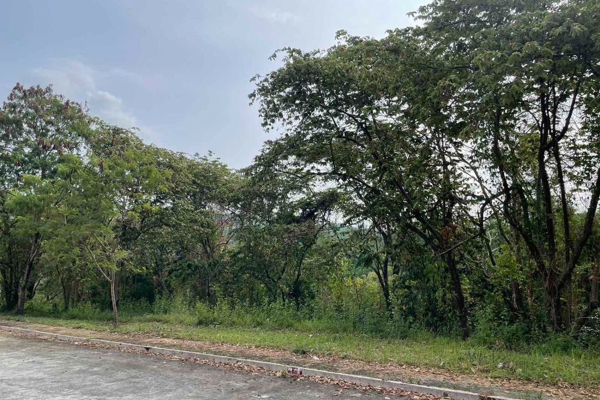 Land for Sale in San Juan, Antipolo, Rizal – photo 6
