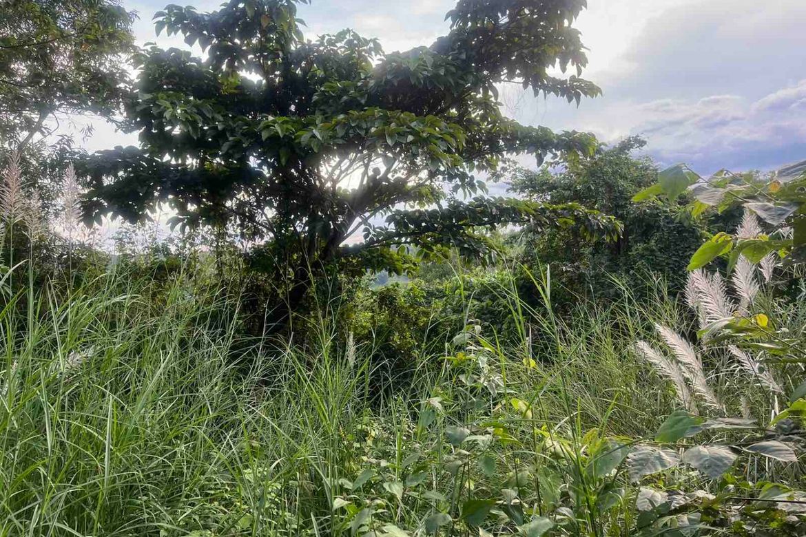 Land for Sale in San Juan, Antipolo, Rizal – photo 3