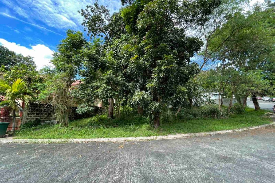 Land for Sale in San Juan, Antipolo, Rizal