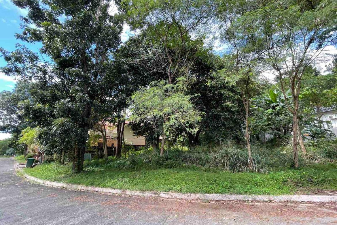 Land for Sale in San Juan, Antipolo, Rizal – photo 2