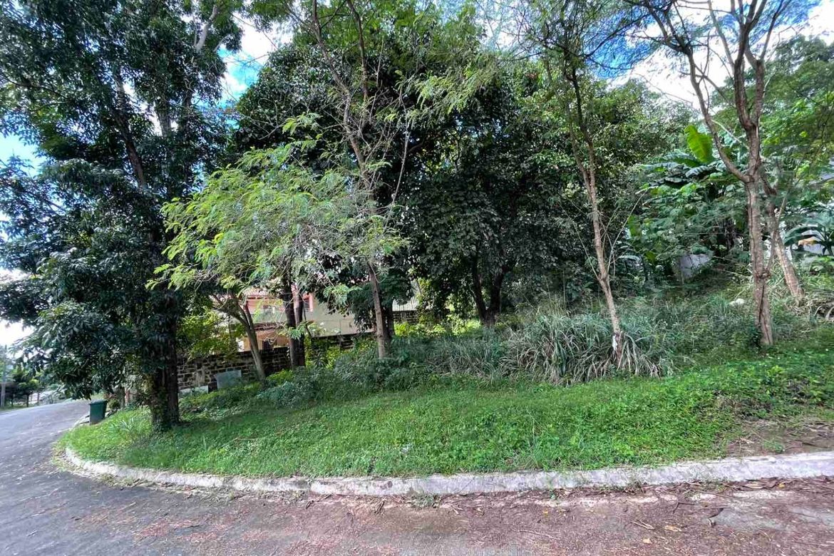 Land for Sale in San Juan, Antipolo, Rizal – photo 3